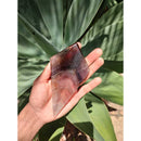 Chapa de Super Seven