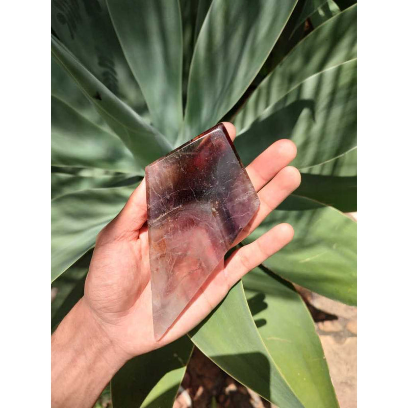 Chapa de Super Seven