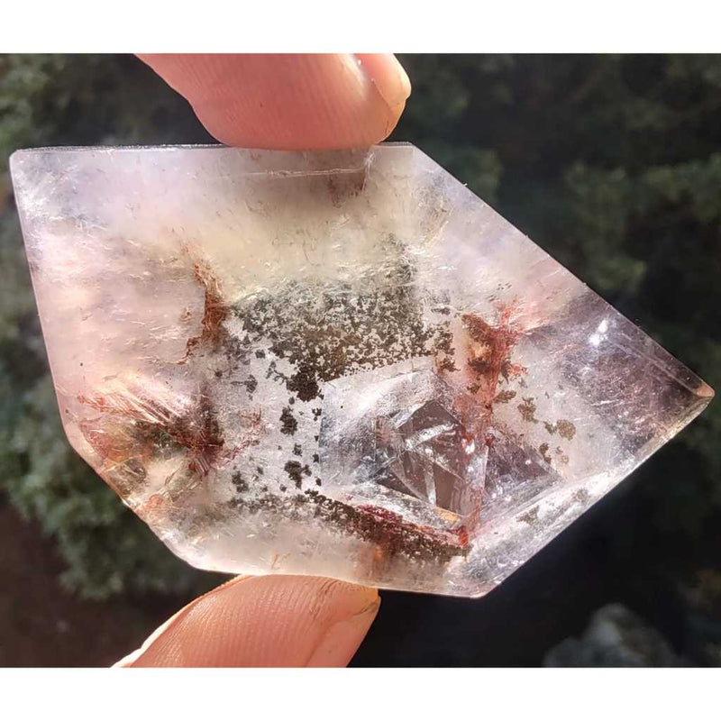 Chapa Trapiche de Ametrino