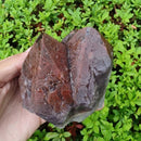 Super Seven Cacoxenites/Aurelite Red Cap - Ponta Bruta