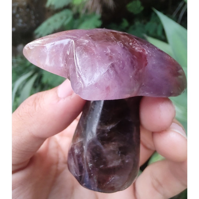 Coqueiro de Super Sete