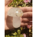 Cogumelo de lodolita verde