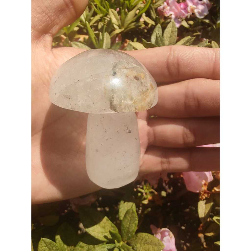 Cogumelo de lodolita verde