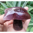 Coqueiro de Super Sete