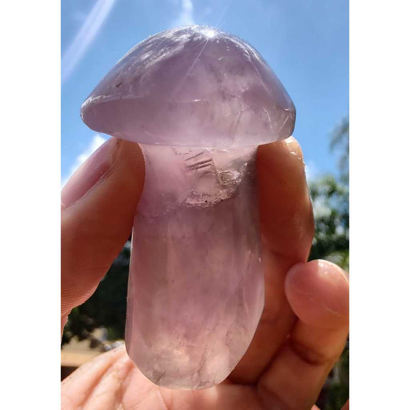 Cogumelo de Ametrino