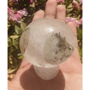 Cogumelo de lodolita verde