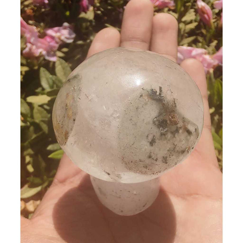 Cogumelo de lodolita verde